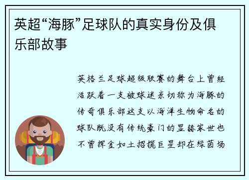 英超“海豚”足球队的真实身份及俱乐部故事
