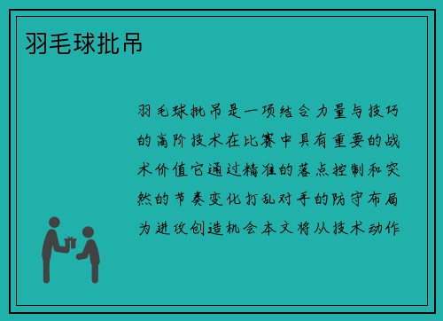 羽毛球批吊